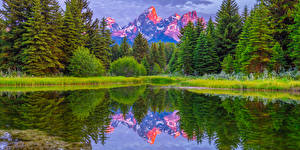 Tapety na pulpit Stany zjednoczone Parki Góry Jezioro Pejzaż Świerk Odbicie Grand Teton National Park Natura