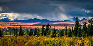 Фото Америка Парк Панорама Пейзаж Гора Тучи Denali National Park