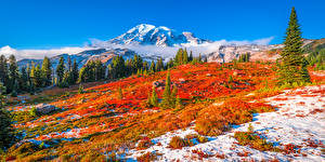 Фото Америка Парк Пейзаж Осень Горы Mount Rainier National Park