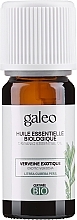 Biologische Exotische Etherische Olie van Verbena Galeo Organic Essential Oil Exotic Verbena