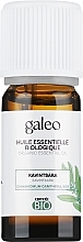 Biologische Etherische Olie van Ravintsara Galeo Organic Essential Oil Ravintsara