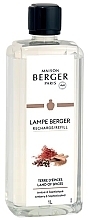 Maison Berger Land Of Spices Refill Recharge pour lampe aromatique