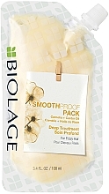 Masker met Diepe Werking voor Glad Haar Biolage Smoothproof Pack For Frizzy Hair