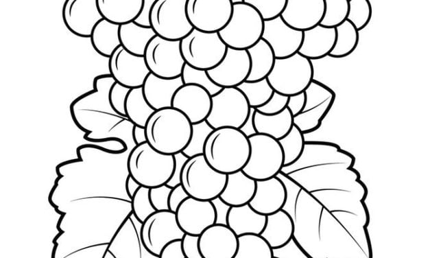 Coloriages: Raisin