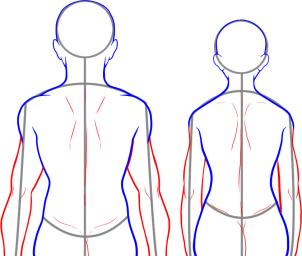 Zeichnen Tutorial: Rücken 8