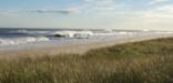 Miles of uncrowded white sandy beaches extend to the horizon, separating the clear blue ocean and undulating grass-covered dunes.