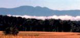 Mist rises over fields on Martin Van Buren's farm Lindenwald as the Catkill Mountains loom in the distance.