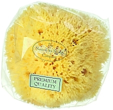 Натуральная морская губка, 14 см Hydrea London Honeycomb Sea Sponge Premium Quality