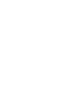 Datu valsts inspekcija