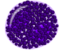 Basophil