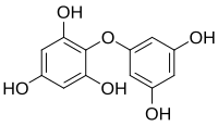 Chemical structure of diphlorethol