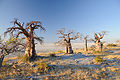 pałù sałà de Makgadikgadi