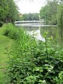 Blick vom Kurpark hunteabwärts