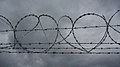 Barbed wire and razor wire