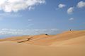 Dunes near Coro, in Falcón State