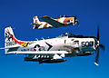 AD-4N warbird flying with a T-28