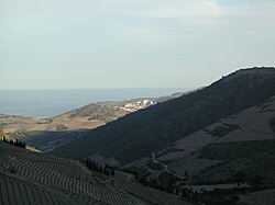 Wijngaard aan zee. De meeste wijngaarden liggen aan rivieren of in het binnenland. Soms ook vlak aan de zee. In Colares, Portugal, staan de druivenstokken in de duinen. Voorbeeld: Banyuls, Frankrijk.