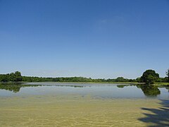 La plaine de la Marne inondée en 2013 (sud).