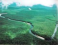 Orinoco Delta