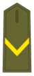 Cavaller Cadet