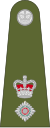 Lieutenant-Colonel