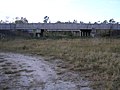 Passage sous les routes pour la panthère de floride (USA).