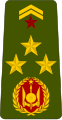 Général de brigade (Arme Djibouti)