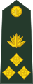 Brigadier general (ব্রিগেডিয়ার জেনারেল Brigēḍiẏāra jēnārēla) (Tirlu Bangladesh)[2]