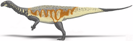 A Plateosaurus engelhardti rekonstrukciója