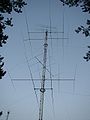 Foreste de antennas