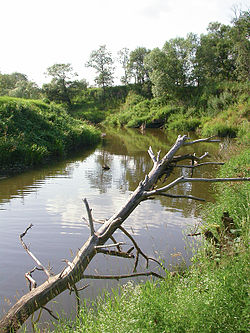 The Lama River near Yaropolets in Volokolamsky District