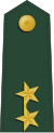 中将