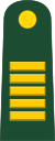 Lieutenant Colonel