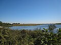 Overview of the Gerritsen Creek