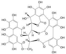 Chemical structure of castalagin