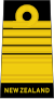 Admiral of the fleet