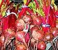 Beta vulgaris (beetroots)