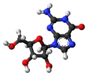 Ball-and-stick model of the guanosine molecule