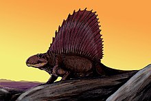 Vue d'artiste d'un Dimetrodon grandis se réchauffant au lever du soleil.