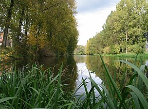 De Oude Maas te Dilsen (2004), de vroegere havengeul