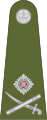 Brigadier general (Nerzhioù Difenn Belize)