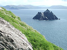 Little Skellig vue depuis Skellig Michael.