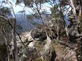 On the summit of Dithol or Pigeon House Mountain in nearby Morton National Park.