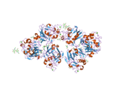 2j2p: L-FICOLIN COMPLEXED TO N-ACETYL-CYSTEIN (150MM)