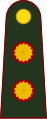 General de brigada (Tirlu Arc'hantina)[1]