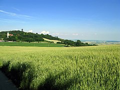 Weinviertelgo ordokia