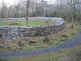 The cashel in the middle rampart