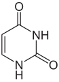 Uracile.