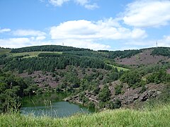 Paysage de bruyères et de conifères autour du lac du barrage de Couzon dans le sud-est.