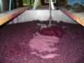 Image 27A cap of grape skins forms on the surface of fermenting red wine (from Winemaking)